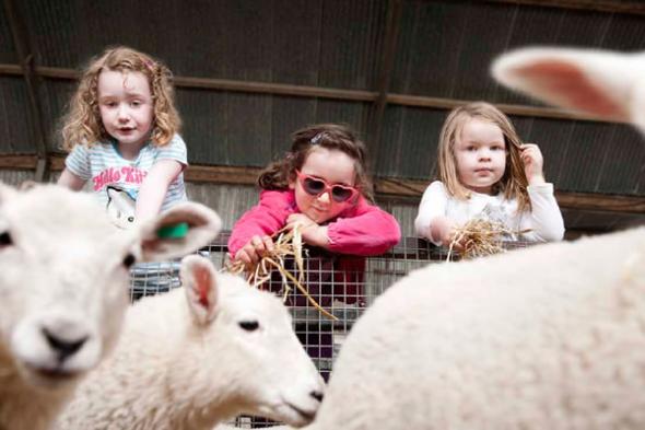 Change of Eligibility Criteria